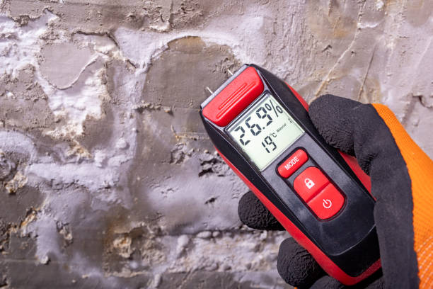 Reliable Pinebluff, NC Mold Removal Solutions