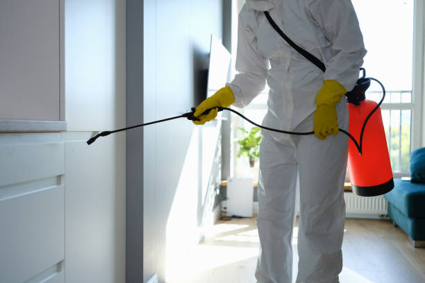 Best Residential Mold Removal  in Pinebluff, NC