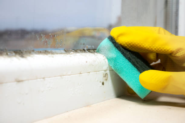 Best Crawl Space Mold Removal  in Pinebluff, NC